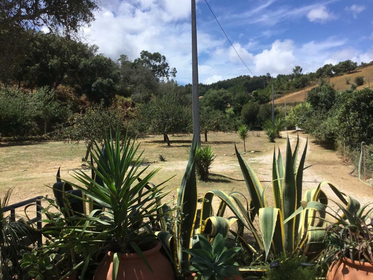 Quinta Boavista Βίλα Cercal do Alentejo Εξωτερικό φωτογραφία