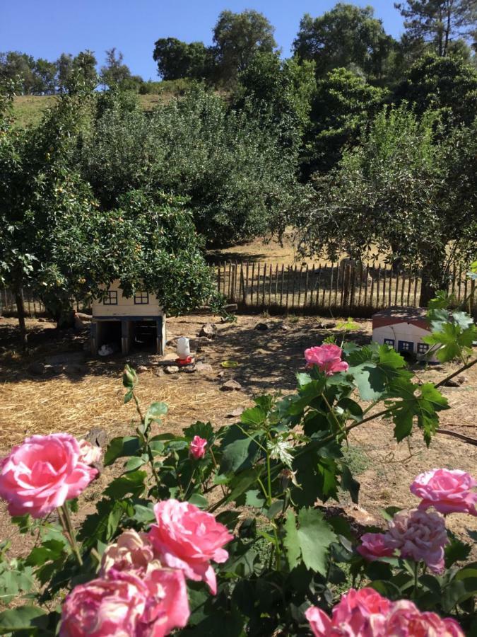 Quinta Boavista Βίλα Cercal do Alentejo Εξωτερικό φωτογραφία