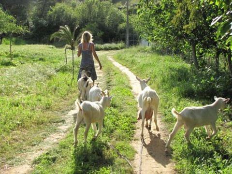 Quinta Boavista Βίλα Cercal do Alentejo Εξωτερικό φωτογραφία